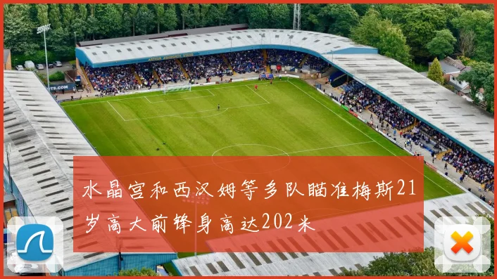 水晶宫和西汉姆等多队瞄准梅斯21岁高大前锋身高达202米